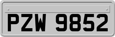 PZW9852