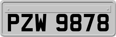 PZW9878