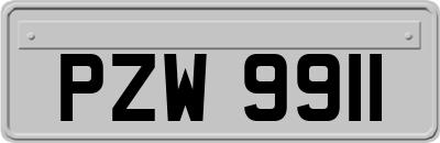 PZW9911