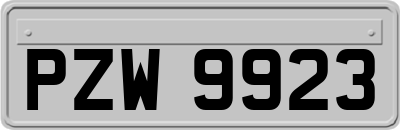 PZW9923