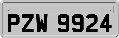 PZW9924