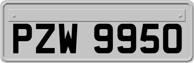 PZW9950