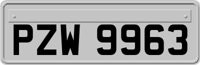 PZW9963