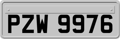 PZW9976