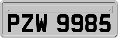 PZW9985