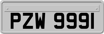 PZW9991