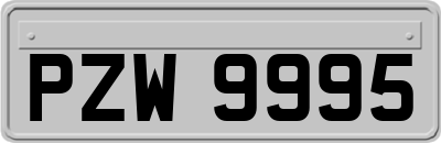 PZW9995