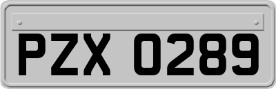 PZX0289