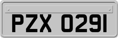 PZX0291