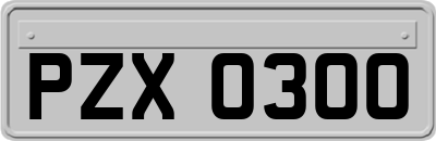 PZX0300