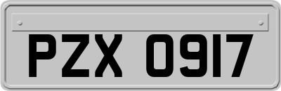 PZX0917