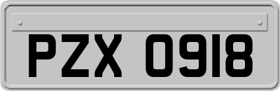 PZX0918