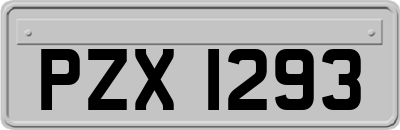 PZX1293