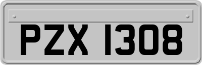 PZX1308