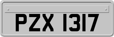 PZX1317