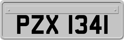 PZX1341