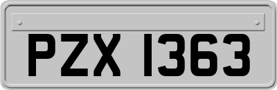 PZX1363