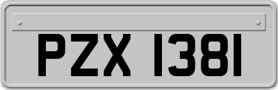 PZX1381