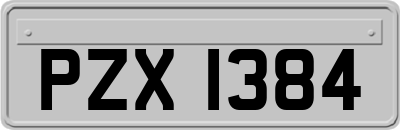 PZX1384