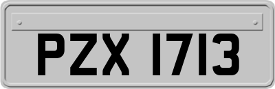 PZX1713