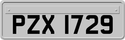 PZX1729
