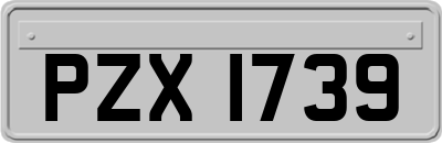 PZX1739