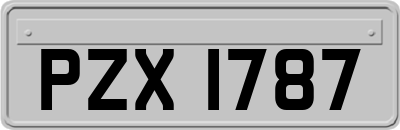 PZX1787