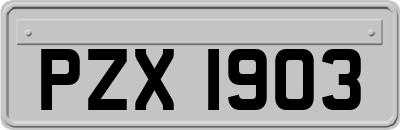 PZX1903