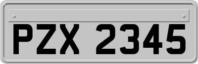 PZX2345