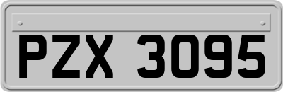 PZX3095
