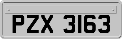 PZX3163