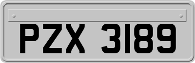 PZX3189