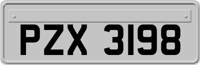 PZX3198