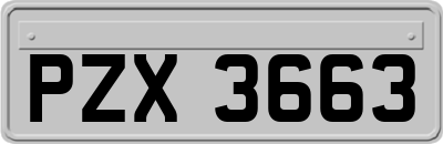 PZX3663