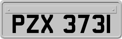 PZX3731