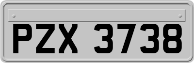 PZX3738