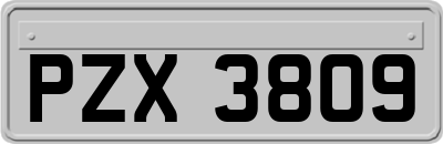 PZX3809