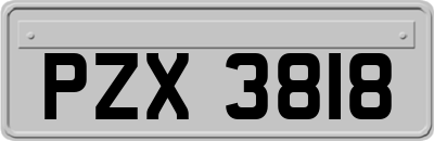 PZX3818