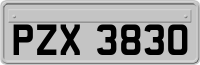 PZX3830