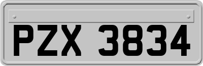 PZX3834