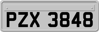 PZX3848