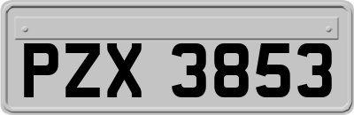 PZX3853