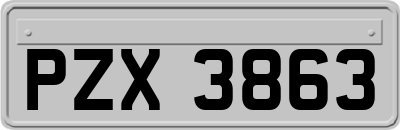 PZX3863