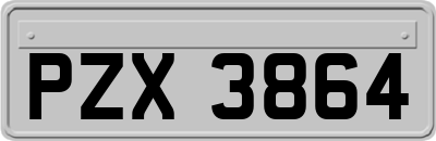 PZX3864