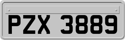 PZX3889