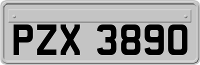PZX3890