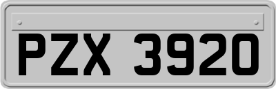 PZX3920