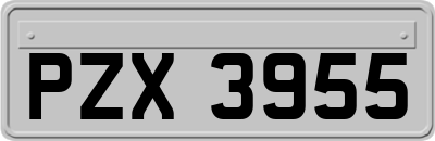 PZX3955