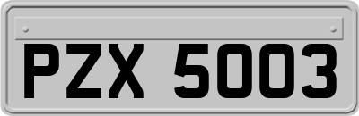 PZX5003