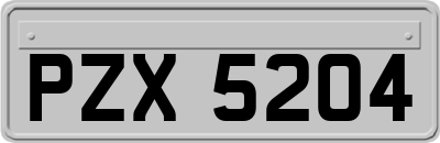 PZX5204